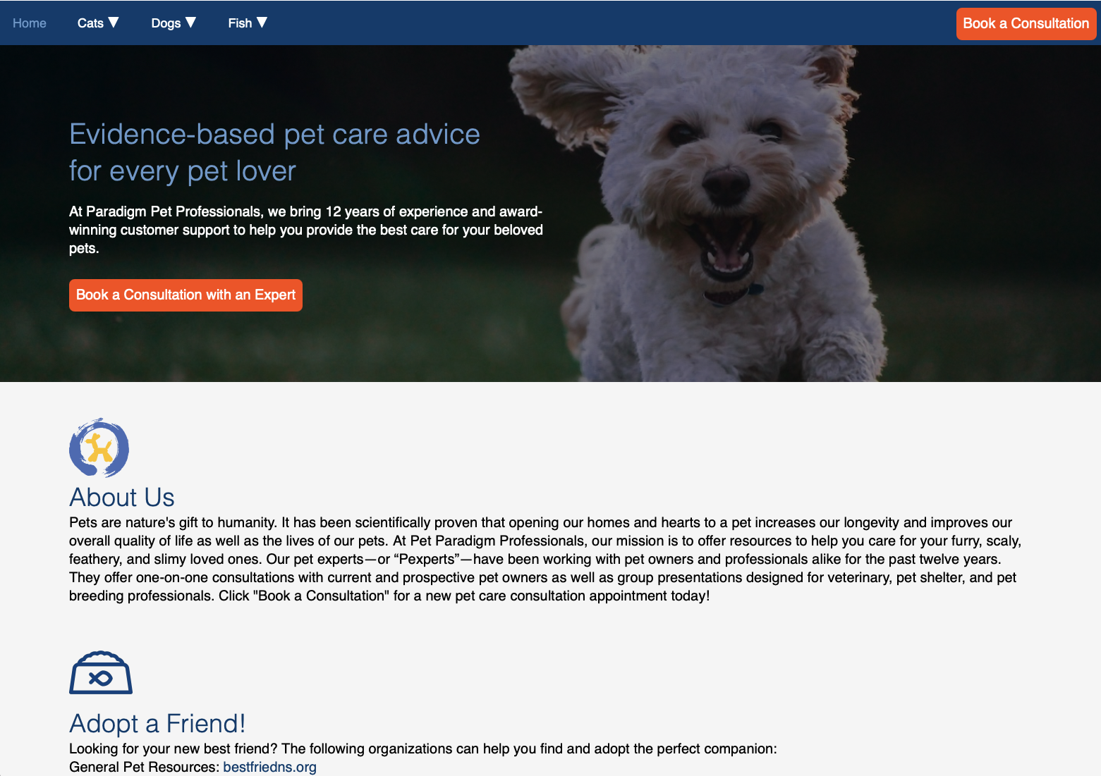 Responsive Web Design
